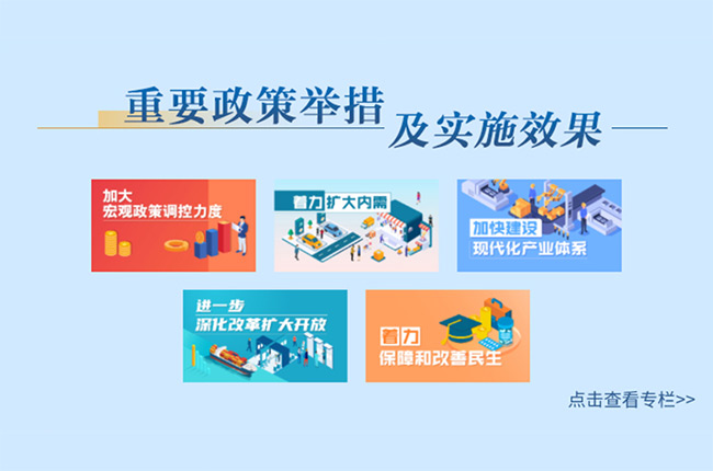 重要政策舉措及實施效果